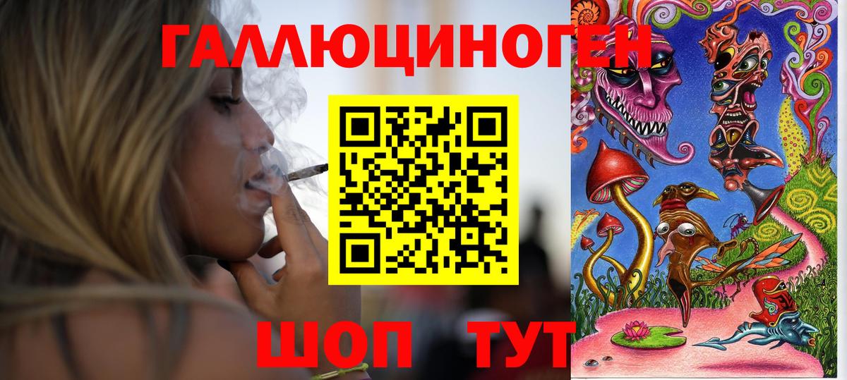 Котовск  Псилоцибиновые грибы Psilocybe  Вход с VPN 